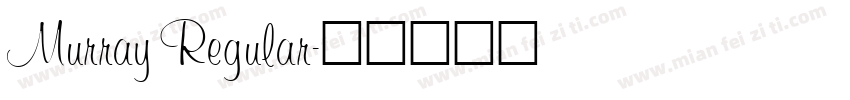 Murray Regular字体转换